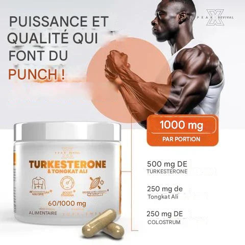 Capsules de testostérone turkestérone tongkat ali - Puissance, Énergie & Croissance Musculaire (CFQ)