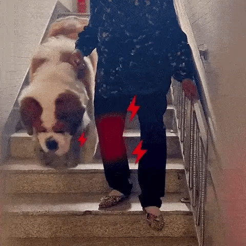 Crème au venin d'abeille - Soulagement rapide de l'arthrite et des douleurs musculaires !